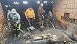 Likvidace následků požáru u Říhů 23. 1. 2022 v Železném Újezdě