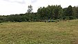 Brigáda SDH Zahrádka - sekání hřiště 19.8.2017