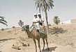 Tunisko - jizda na velbloudu.