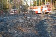 Požár lesa ve Štědrém 18.3.2012