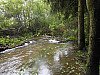 Ucpané koryto potoka V Zahájeném v Zahrádce