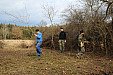 Brigáda na výřez křovin při cestě u rybníka Schánělák v Zahrádce 15.2.2014
