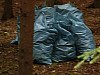 Brigáda v Chyníně - úklid černé skládky v lese za Chynínem 8.5.2014