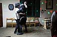 Maškarní párty v hasičském klubu v Zahrádce 25.3.2017